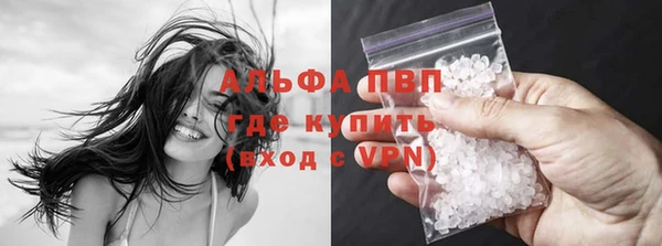 винт Абаза
