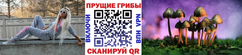 наркошоп  Абдулино  Псилоцибиновые грибы ЛСД 